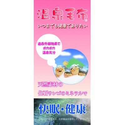ふるさと納税 泉大津市 KW24401温泉毛布 ファニー2合わせ毛布ピンク シングル_3