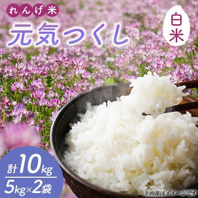 ふるさと納税 嘉麻市 [令和7年産]れんげ米 元気つくし(白米) 計10kg(5kg×2袋)〜はたなかFarm〜