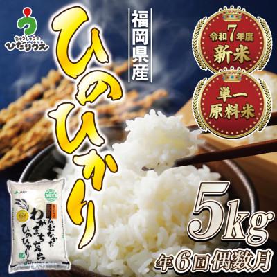 ふるさと納税 福津市 [定期便全6回]JAよりお届け、R8年2月〜発送開始「ひのひかり」5kg×6回[G5082a]
