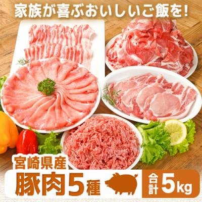 ふるさと納税 都城市 宮崎県産【豚肉5kgセット】(都城市) |  | 01