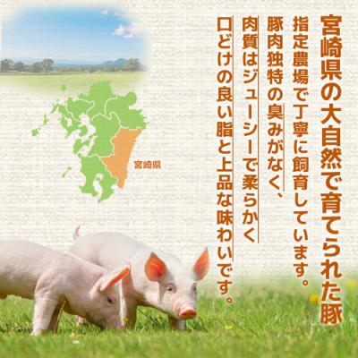 ふるさと納税 都城市 宮崎県産【豚肉5kgセット】(都城市) |  | 02