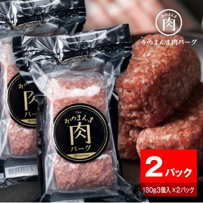 ふるさと納税 静岡市 [The Oniku]そのまんま肉バーグ2パックセット(180g×3個入り×2パック)