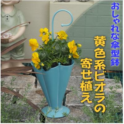 ふるさと納税 朝倉市 傘型アイアン鉢・ビオラの寄せ植え(黄色系)