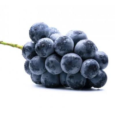 ふるさと納税 千曲市 [2026年発送]ナガノパープル 約1kg(2房)家庭用