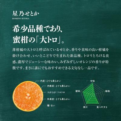 ふるさと納税 八幡浜市 【訳あり】星乃せとか 柑橘の大トロ(5kg)【C45-97】 |  | 01