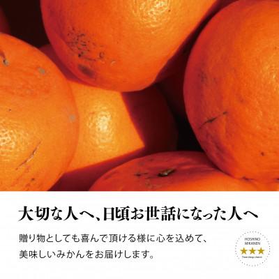 ふるさと納税 八幡浜市 【訳あり】星乃せとか 柑橘の大トロ(5kg)【C45-97】 |  | 02