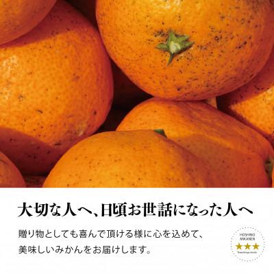 ふるさと納税 八幡浜市 【訳あり】星乃みかん園の星乃みかん(5kg)【A45-98】 |  | 02