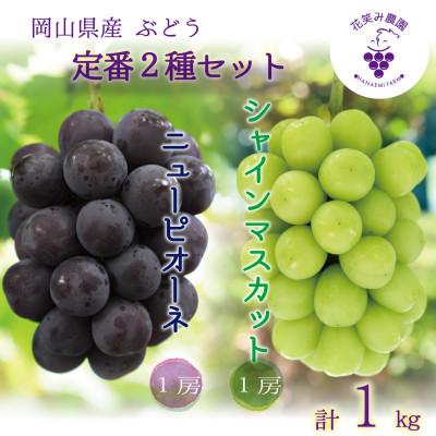 ふるさと納税 新庄村 [2026年先行受付]岡山 花笑み農園の『ニューピオーネ&amp;シャインマスカット』1kg(2房)PS-1