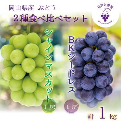 ふるさと納税 新庄村 [2026年先行受付]岡山 花笑み農園の『シャインマスカット&amp;BKシードレス』1kg(2房)BS-1