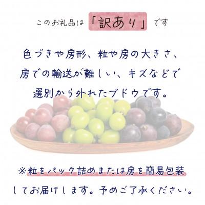 ふるさと納税 新庄村 岡山　花笑み農園のブドウ『訳あり3種以上MIX』1kg　W3M-1 |  | 01
