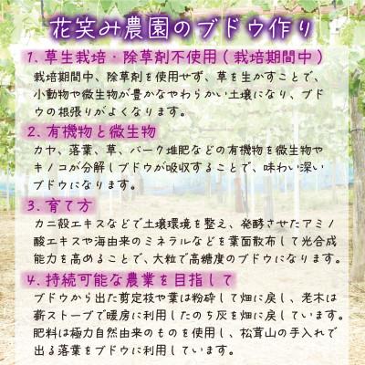 ふるさと納税 新庄村 岡山　花笑み農園のブドウ『訳あり3種以上MIX』1kg　W3M-1 |  | 03