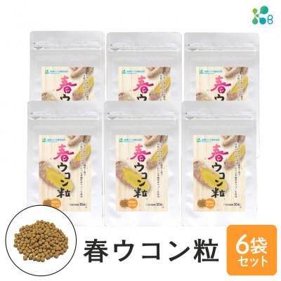 ふるさと納税 糸満市 [金秀バイオ] 春ウコン粒 900粒 6袋セット 180日分(約6ヶ月分) サプリ