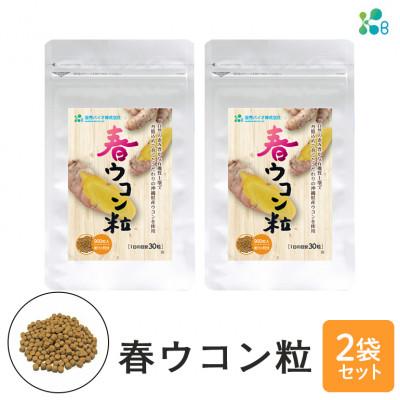 ふるさと納税 糸満市 [金秀バイオ] 春ウコン粒 900粒 2袋セット 60日分(約2ヶ月分) サプリ