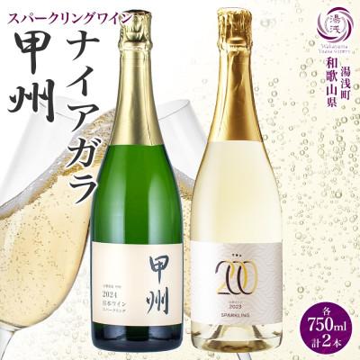 ふるさと納税 湯浅町 スパークリングワイン2種セット ナイアガラ 甲州 750ml 各1本 計2本 果実酒 湯浅ワイナリー