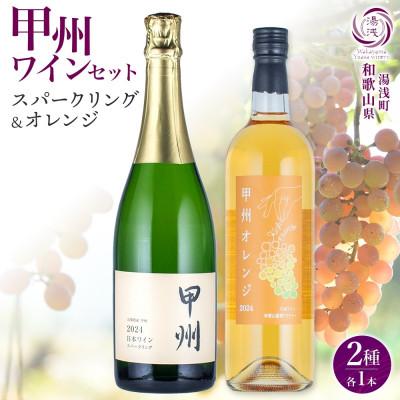 ふるさと納税 湯浅町 甲州ワイン 2種セット 甲州オレンジ 甲州スパークリング 各1本 計2本 湯浅ワイナリー ワイン