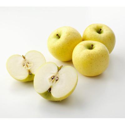 ふるさと納税 千曲市 [2026年先行予約]りんご シナノゴールド 約3kg (6玉~10玉) (長野県オリジナル品種)