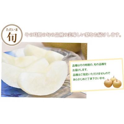 ふるさと納税 菊池市 訳あり梨 約5kg サイズ混合 【2026年8月下旬より順次発送】(菊池市)_2