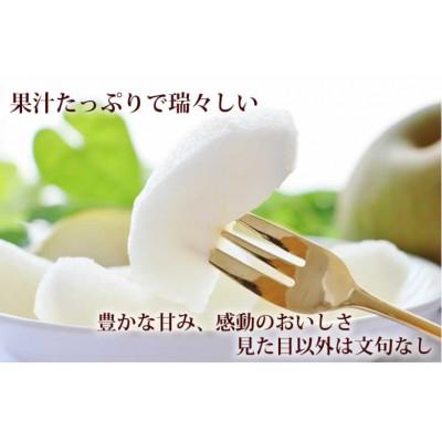 ふるさと納税 菊池市 訳あり梨 約5kg サイズ混合 【2026年8月下旬より順次発送】(菊池市)_3