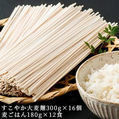 ふるさと納税 伊勢原市 濱田の大麦セット 美味しく食べて健康増進 大麦麺 麦ごはんセット [0137]