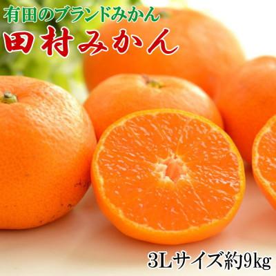 ふるさと納税 湯浅町 先行受付[ブランドみかん]田村みかん大玉約9kg(3Lサイズ)2026年11月下旬より順次発送
