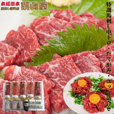 ふるさと納税 球磨村 特選 馬刺し中トロ・たてがみ・ユッケ詰合せ[馬刺・和牛乃 栗山屋](球磨村)