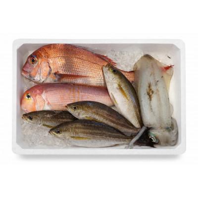 ふるさと納税 八幡浜市 [目利き厳選]八幡浜直送天然鮮魚ボックス 有田鮮魚店・市場仕込み(3kg以上)[F93-1]