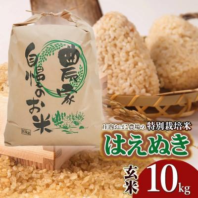 ふるさと納税 鶴岡市 [令和7年産先行予約]庄内おばこ農場の特別栽培米はえぬき玄米10kg[K-775]