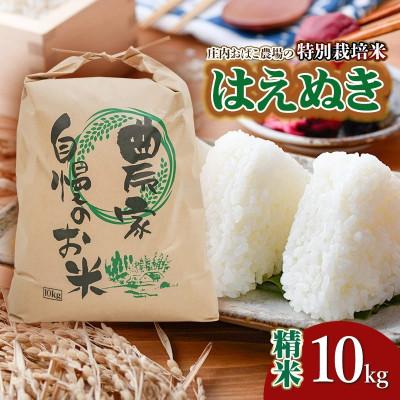ふるさと納税 鶴岡市 [令和7年産先行予約]庄内おばこ農場の特別栽培米はえぬき精米10kg[K-790]
