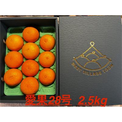 ふるさと納税 東温市 愛果28号 約2.5kg 東温市 サイズお任せ 「紅まどんな」の同一品種(品種名:愛媛果試第28号)