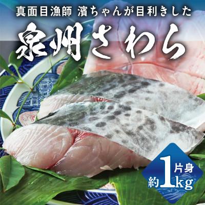 ふるさと納税 泉佐野市 泉州さわら 片身 約1kg G2188-2