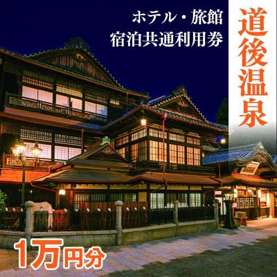 ふるさと納税 松山市 旅館共通利用券 10,000円分