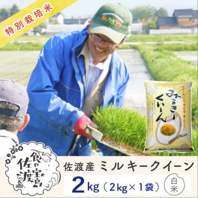 ふるさと納税 佐渡市 [新米予約]佐渡島産ミルキークイーン 白米2Kg(2Kg×1袋)令和7年 特別栽培米