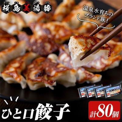 ふるさと納税 垂水市 鹿児島県産 桜島 美湯豚 ひと口 餃子 計80個[大隅ミート産業