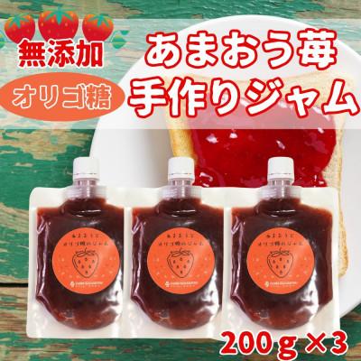 ふるさと納税 福岡市 いちごジャム無添加あまおうとオリゴ糖のジャム200g×3袋 手作り国産チューブパウチ入りGB11