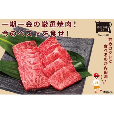 ふるさと納税 水戸市 常陸牛 焼肉用(500g×1パック)
