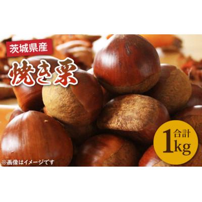 ふるさと納税 鹿嶋市 [先行予約][11月下旬より発送]焼き栗 1kg(茨城県産)