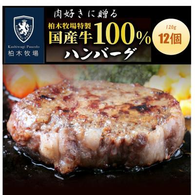 ふるさと納税 伊勢原市 [肉汁!肉好きへ贈る!]柏木牧場特製 国産牛100%ハンバーグ (120g×12個) [0067]