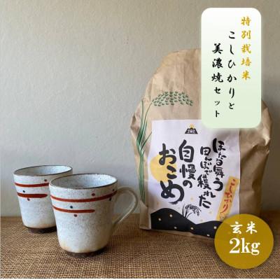 ふるさと納税 多治見市 [令和7年産:玄米]特別栽培米コシヒカリ(2kg)+[美濃焼]赤絵かいらぎマグカップ(2個)