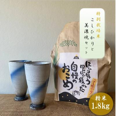 ふるさと納税 多治見市 [令和7年産:精米]特別栽培米コシヒカリ(1.8kg)+[美濃焼]青雲かいらぎフリーカップ大(2個)