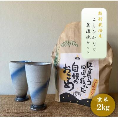 ふるさと納税 多治見市 [令和7年産:玄米]特別栽培米コシヒカリ(2kg)+[美濃焼]青雲かいらぎフリーカップ大(2個)