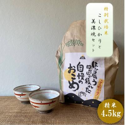 ふるさと納税 多治見市 [令和7年産:精米]特別栽培米コシヒカリ(4.5kg)+[美濃焼]赤絵かいらぎ煎茶碗(2個)