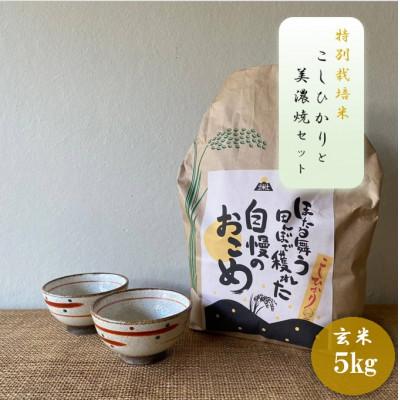 ふるさと納税 多治見市 [令和7年産:玄米]特別栽培米コシヒカリ(5kg)+[美濃焼]赤絵かいらぎ煎茶碗(2個)