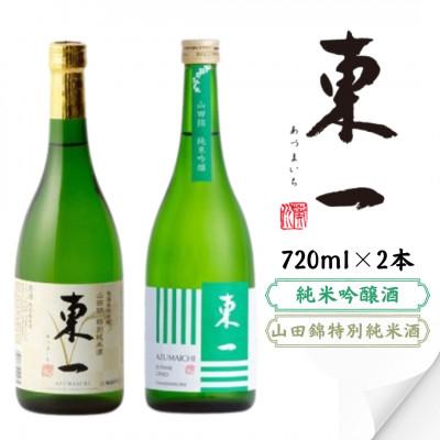 ふるさと納税 嬉野市 東一 山田錦 特別純米酒・純米吟醸酒 720ml×2本