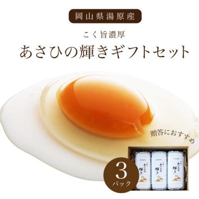 ふるさと納税 真庭市 岡山県真庭産あさひの輝きギフトセット [tamago001]
