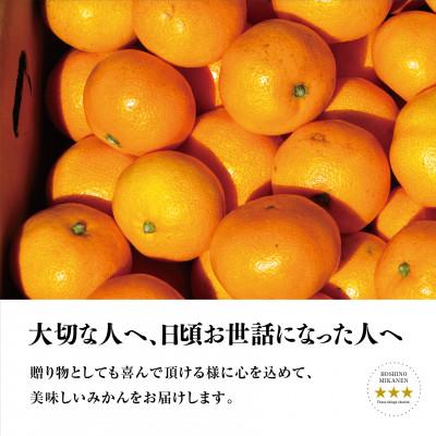 ふるさと納税 八幡浜市 【三つ星ブランド】星乃みかん(5.5kg)【C45-99