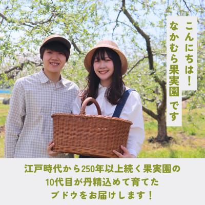 ふるさと納税 長野県 ナガノパープル約2kg(4〜6房) |  | 03