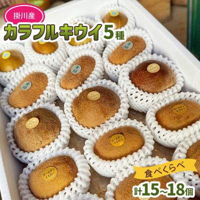 ふるさと納税 掛川市 掛川産 カラフルキウイ 5種・15個〜18個セット:キウイフルーツカントリーJapan 5887