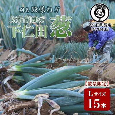 ふるさと納税 下仁田町 別名[殿様ねぎ]大澤農園の下仁田葱(L 15本)