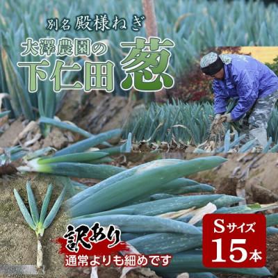 ふるさと納税 下仁田町 別名[殿様ねぎ]大澤農園の下仁田葱(S 15本)