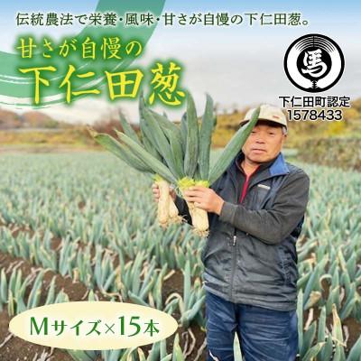 ふるさと納税 下仁田町 甘さが自慢の下仁田葱(Mサイズ 15本)
